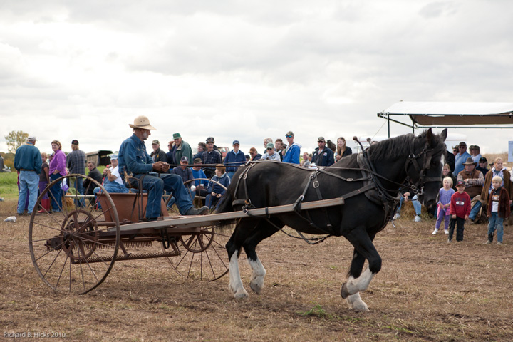 Photo link to 2010 Fall Field Day