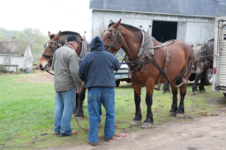 Photo link to 2010 Spring Plow Day