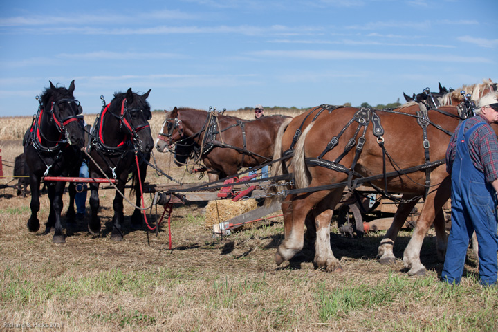 Photo link to 2011 Fall Field Day