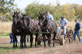 Photo link to 2006 fall field day
